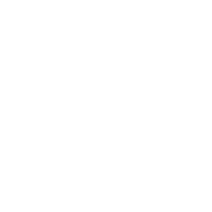 website icon renu energy solutions