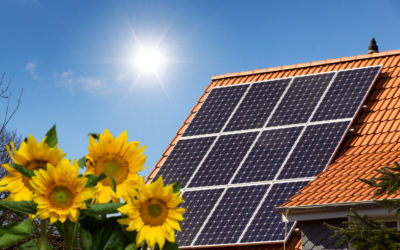 How Solar Module Warranties Work