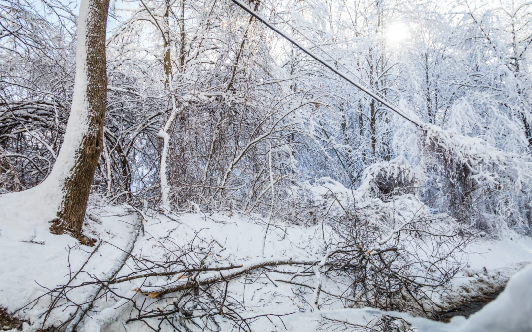 Preparing Your Backup Battery for Severe Cold Weather in the Carolinas