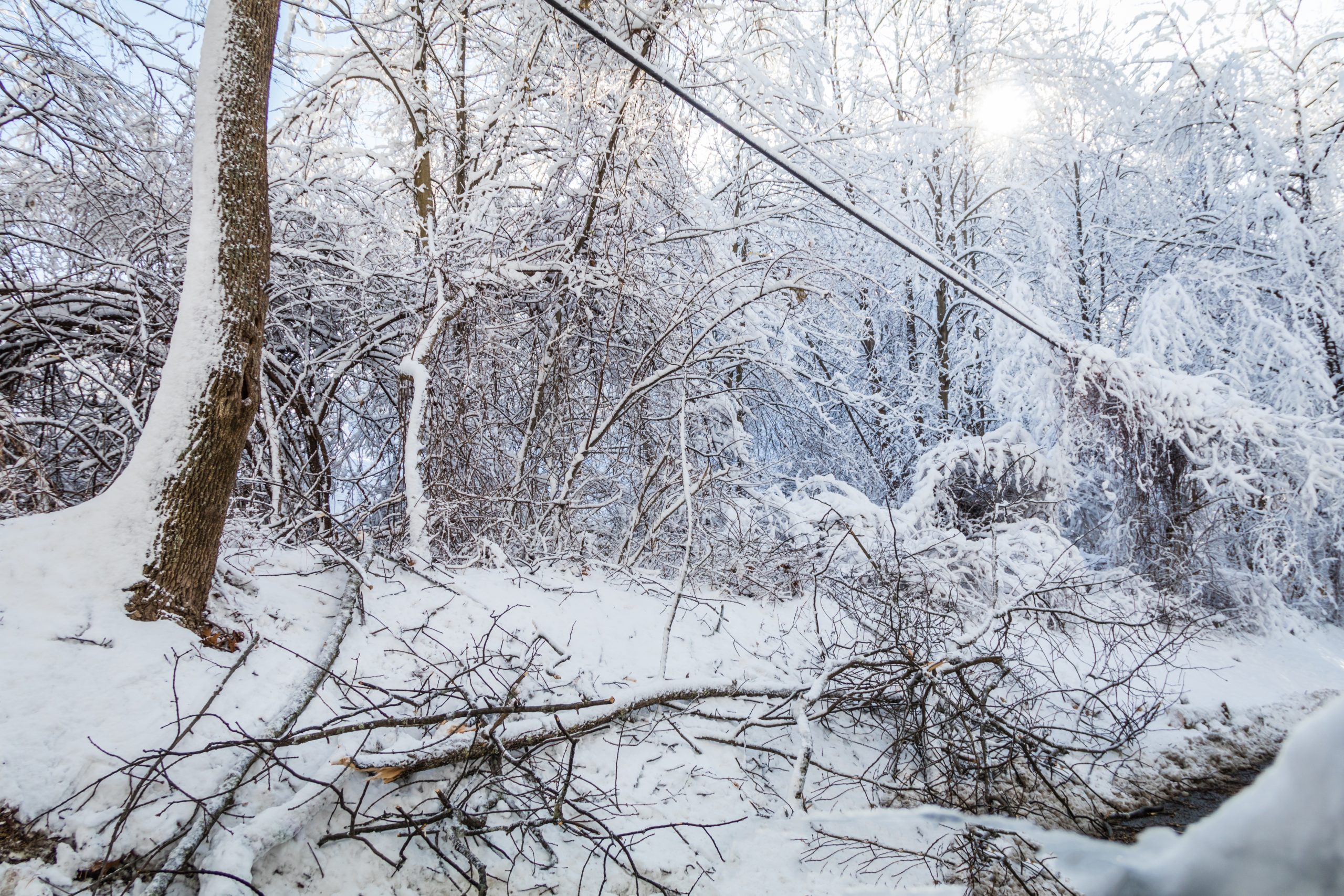 Featured image for “Preparing Your Backup Battery for Severe Cold Weather in the Carolinas”