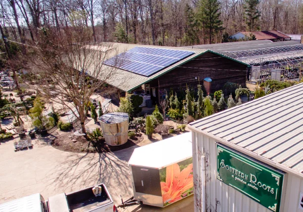 solar on small business